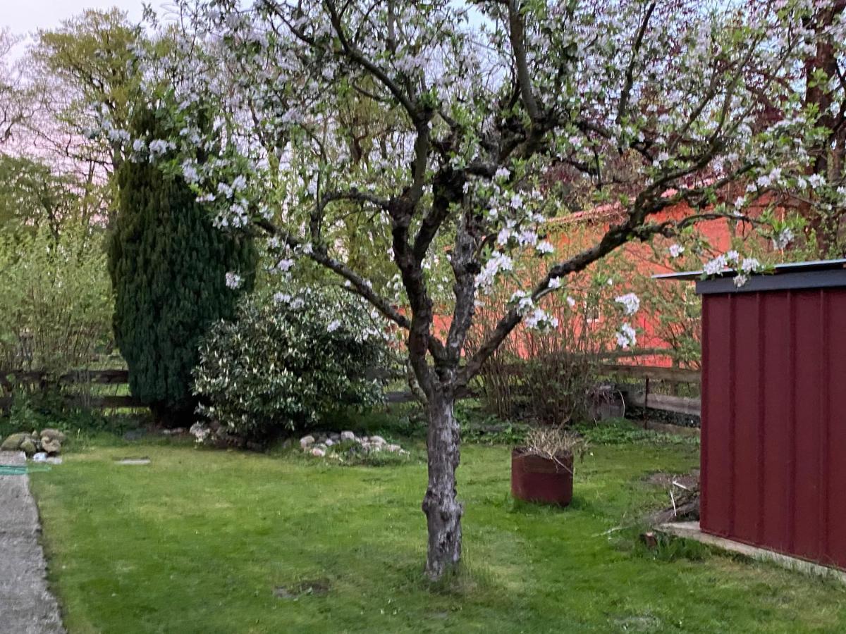 HUUS UTSPANN FeWo mit Terrasse - 23 km vor Hamburg - Seevetal Exterior foto