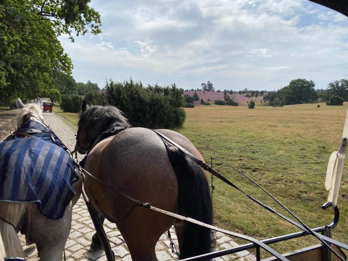 HUUS UTSPANN FeWo mit Terrasse - 23 km vor Hamburg - Seevetal Exterior foto